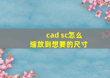 cad sc怎么缩放到想要的尺寸